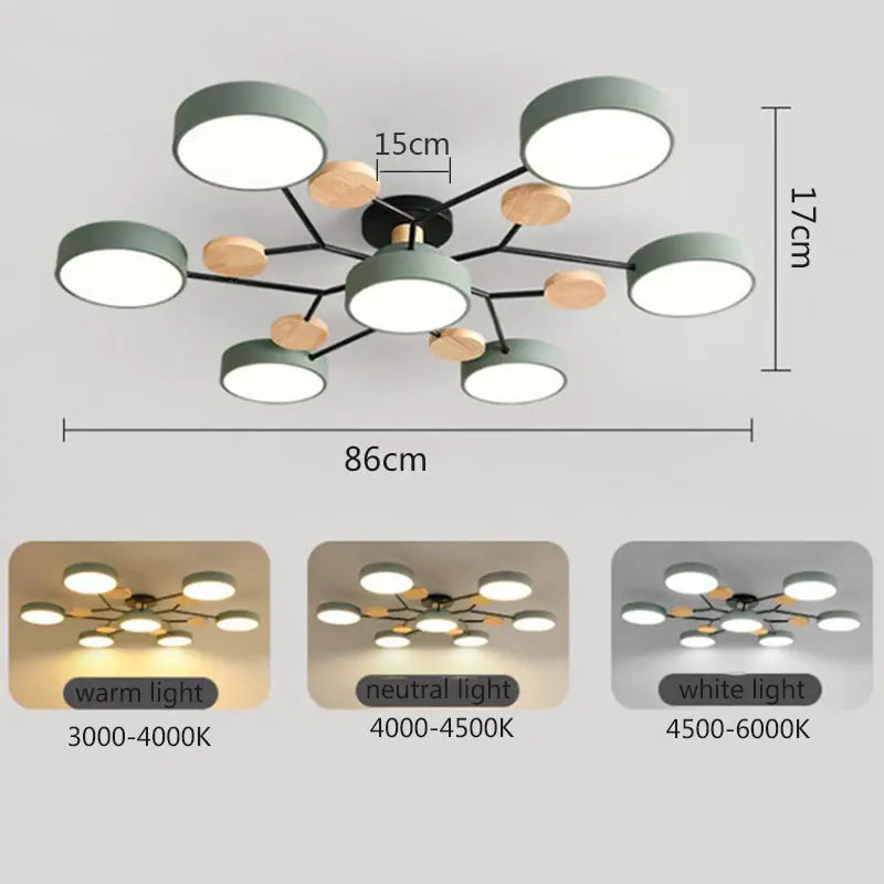 Modern Living Room Ceiling Lights