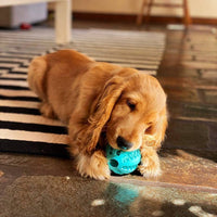Dog Treat Chew Ball