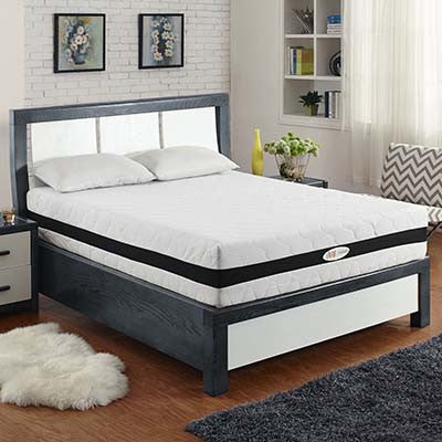 Excellectioned 14" Queen Memory Foam Mattress - living-essentials