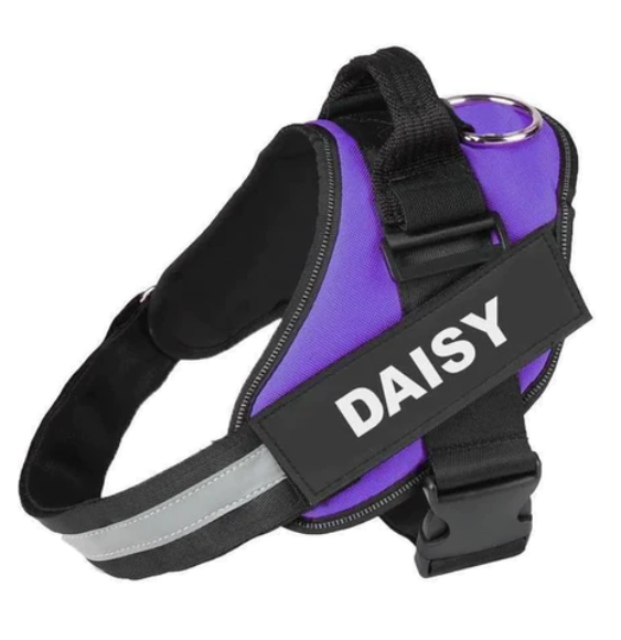 Personalized Dog Harness & Leash Bundle