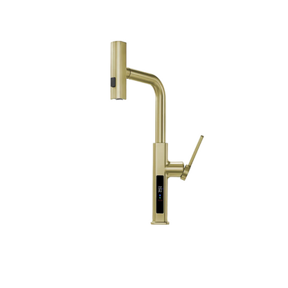 Multi-Functional Waterfall and Pull-Out Faucet With Temperature Display