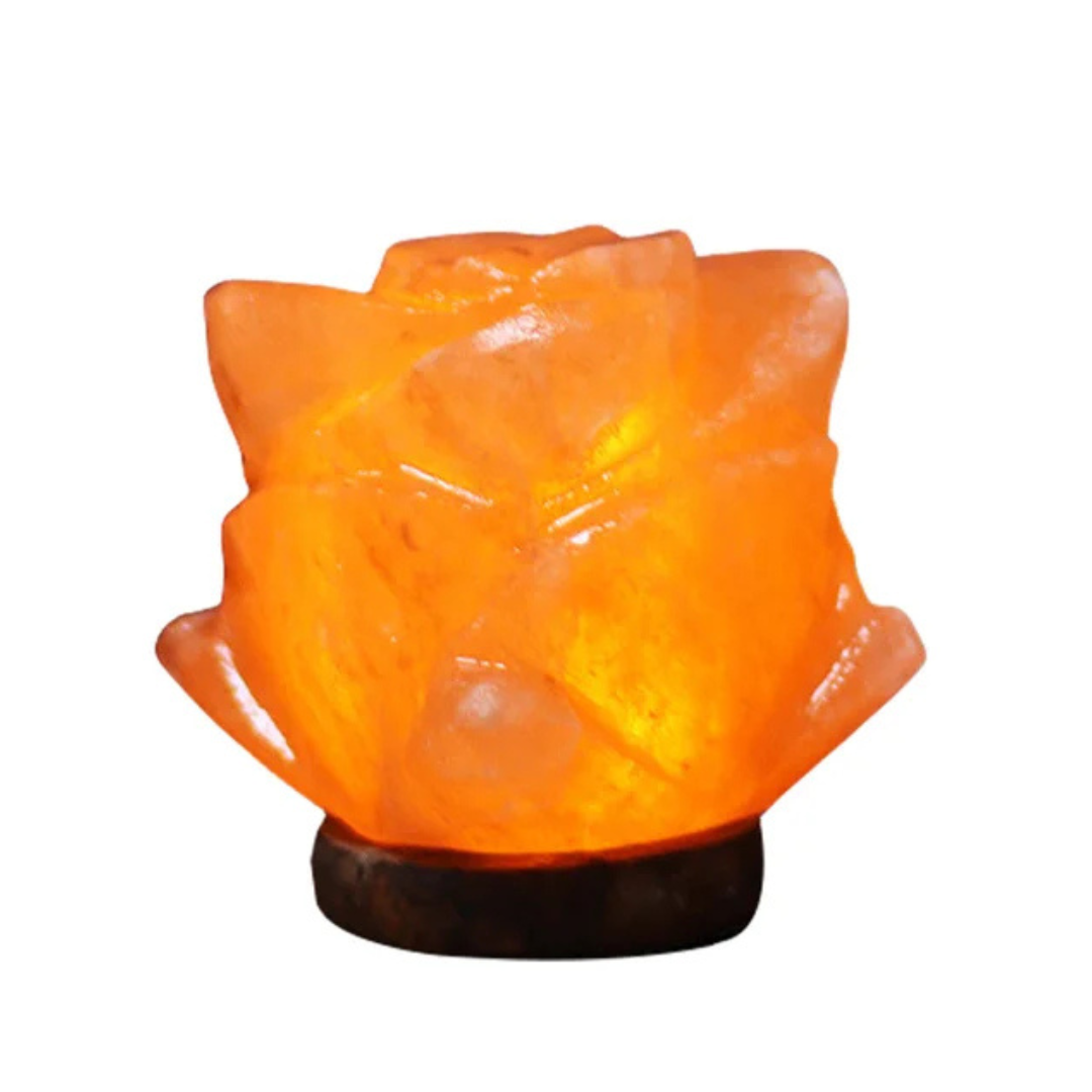 EMFURN Himalayan Salt Rock Lamp