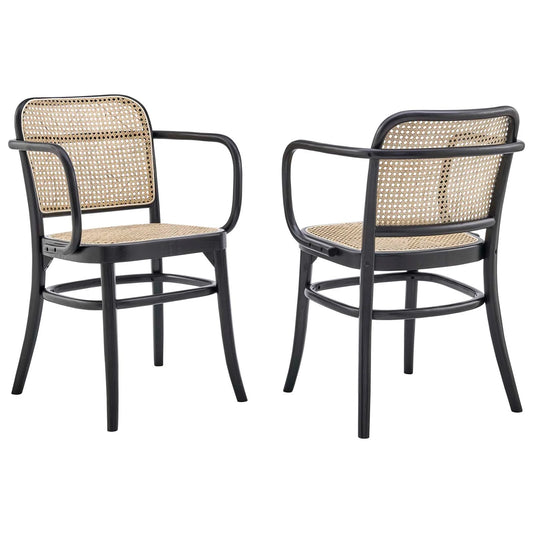 Winona Wood Black Dining Chair Set of 2
