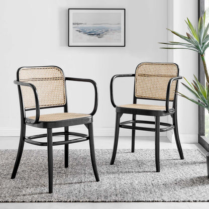 Winona Wood Black Dining Chair Set of 2