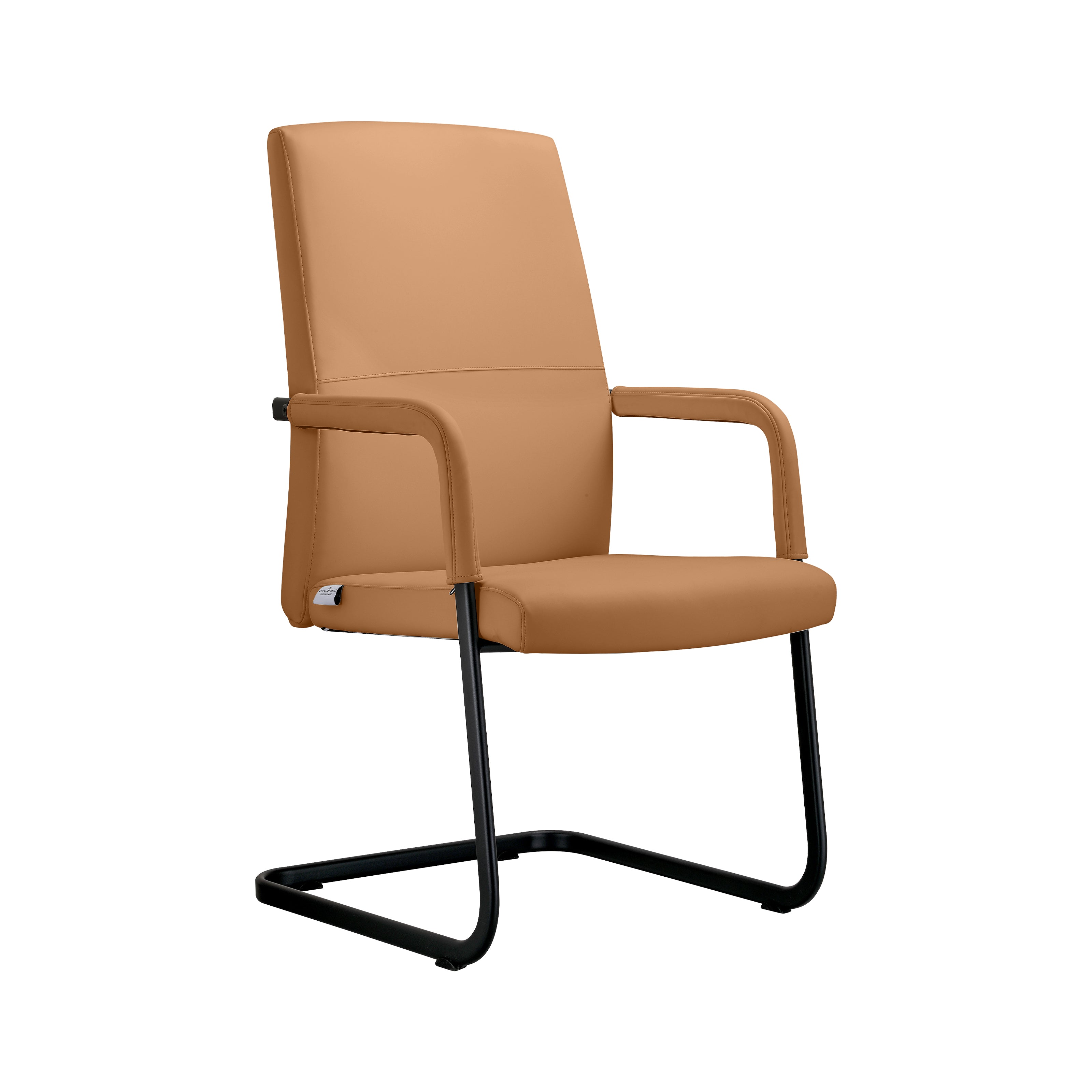 Evander Office Guest Chair in Black Leather