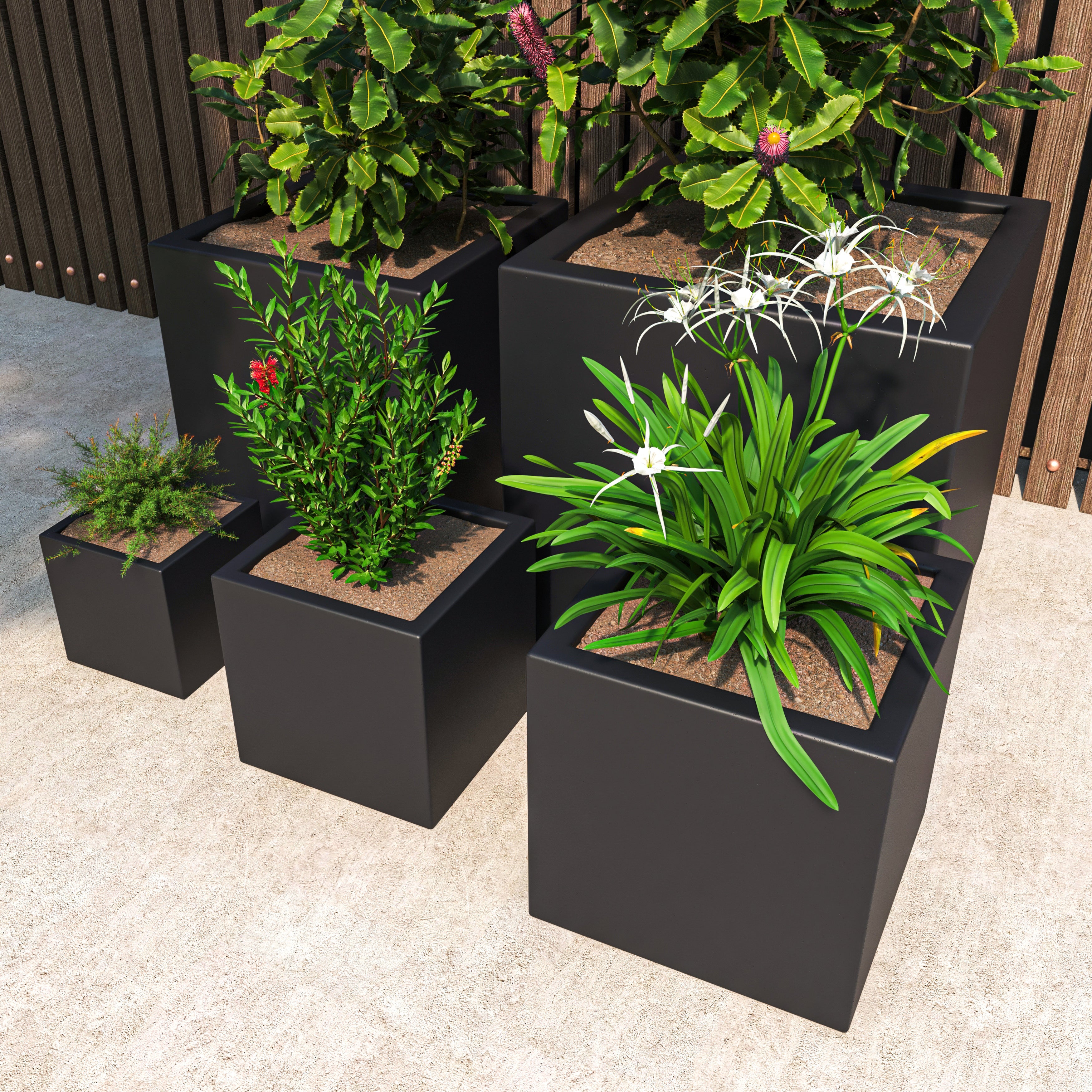 Fern Planter Set Black