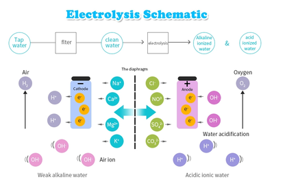 EMFURN Hydrogen Water Generator Bottle