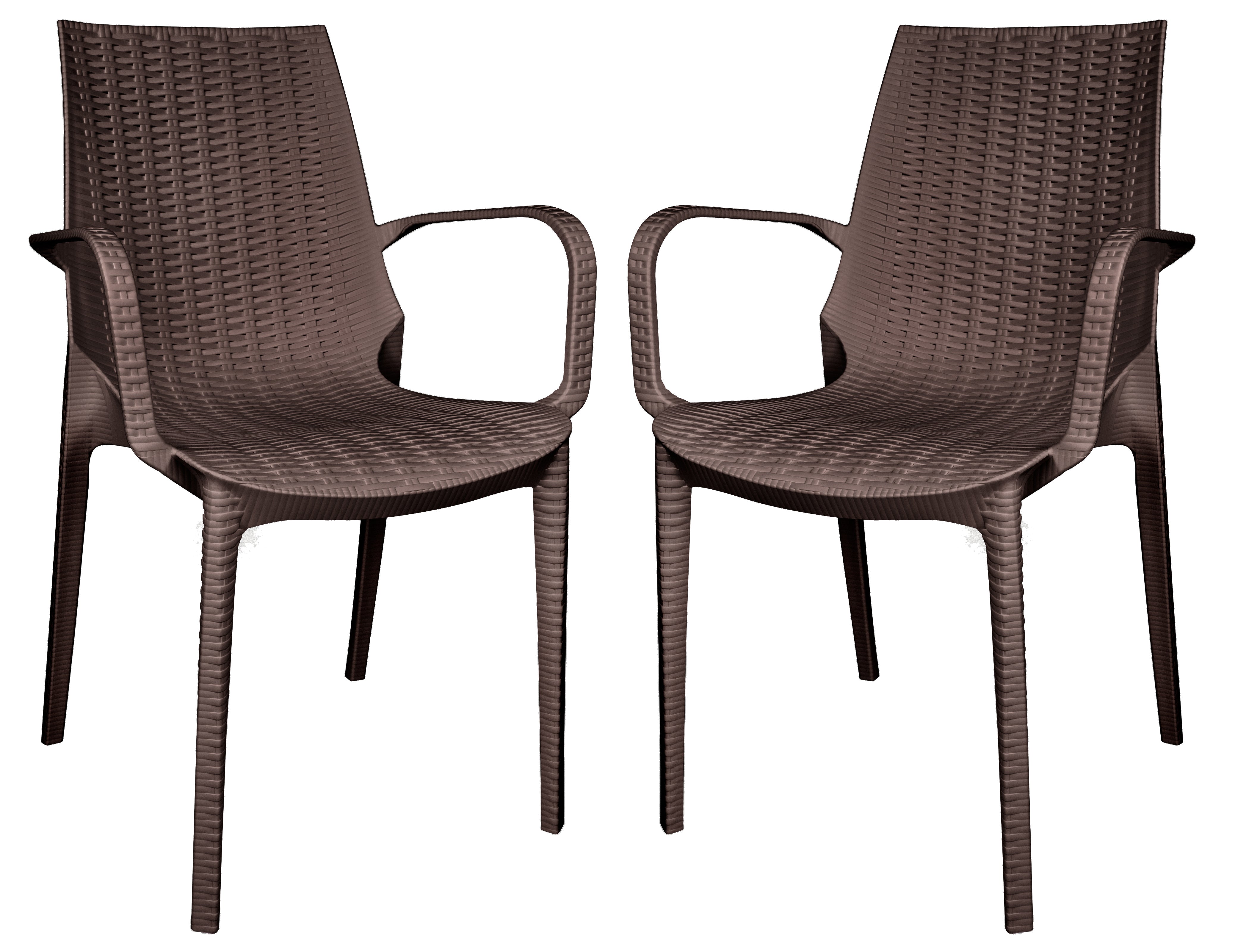 Anders Outdoor Patio Plastic Dining Arm Chair - Set of 2