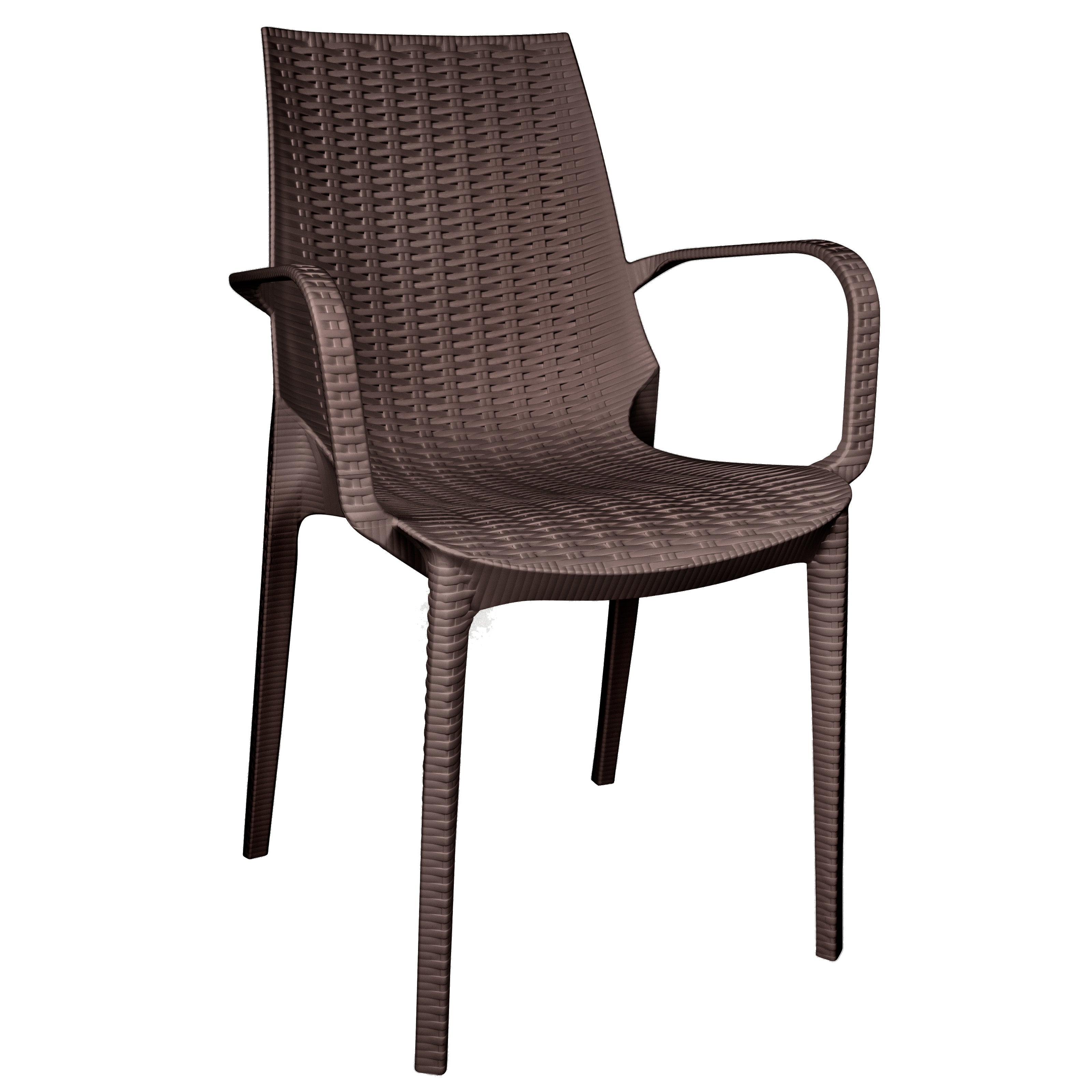 Anders Outdoor Patio Plastic Dining Arm Chair - Set of 2