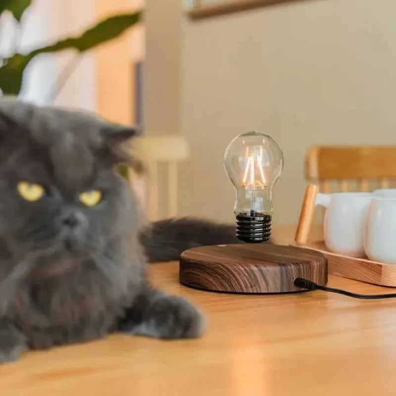 Emfurn Levitating Lamp with Wooden Base