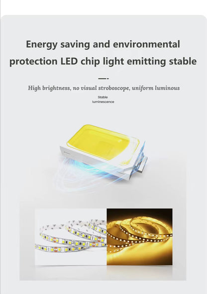 Nelis Modern Smart Led Flush Mount Ceiling Light