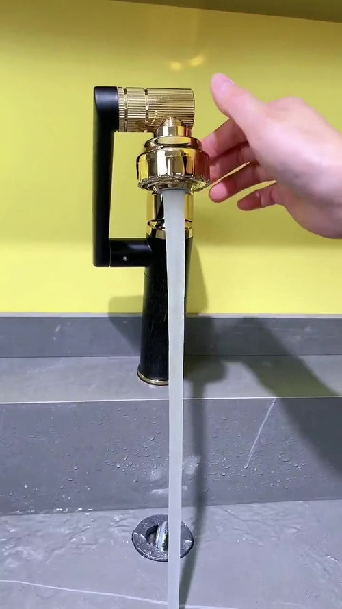 Rotatable Double-Hole Bathroom Sink Faucet