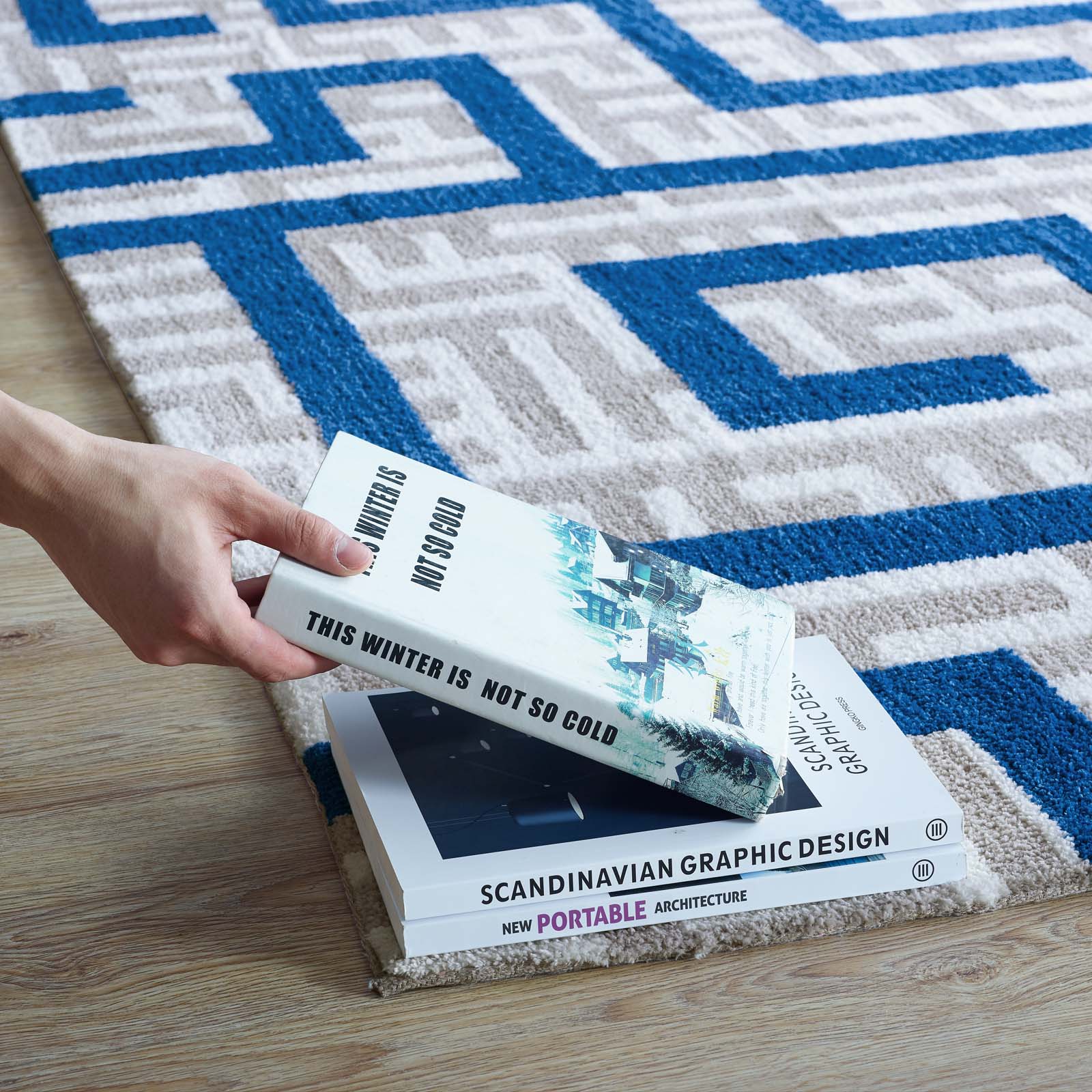 Nahia Geometric Maze 5x8 Area Rug