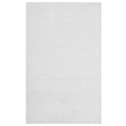 Enyssa Solid 5x8 Shag Area Rug