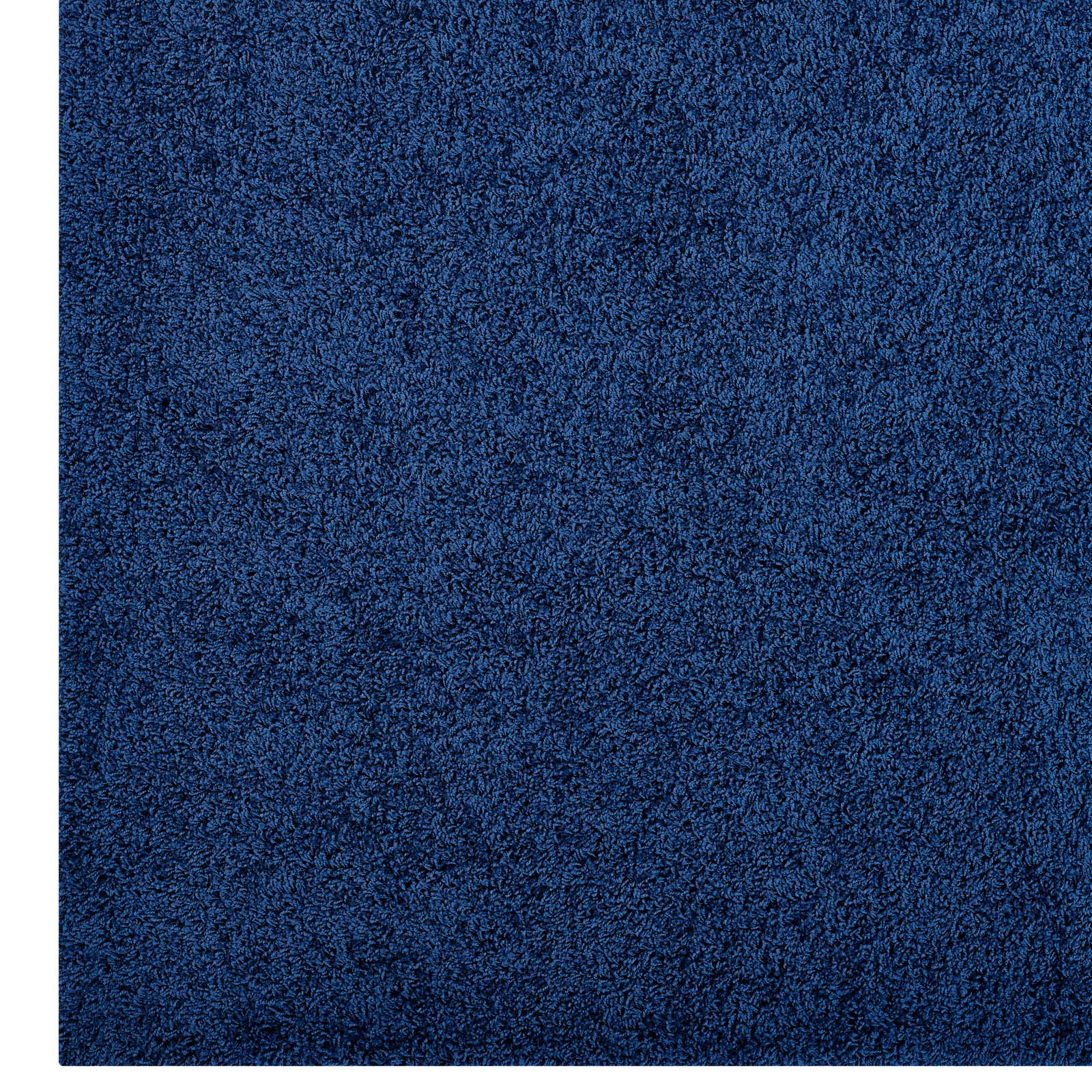 Enyssa Solid 5x8 Shag Area Rug