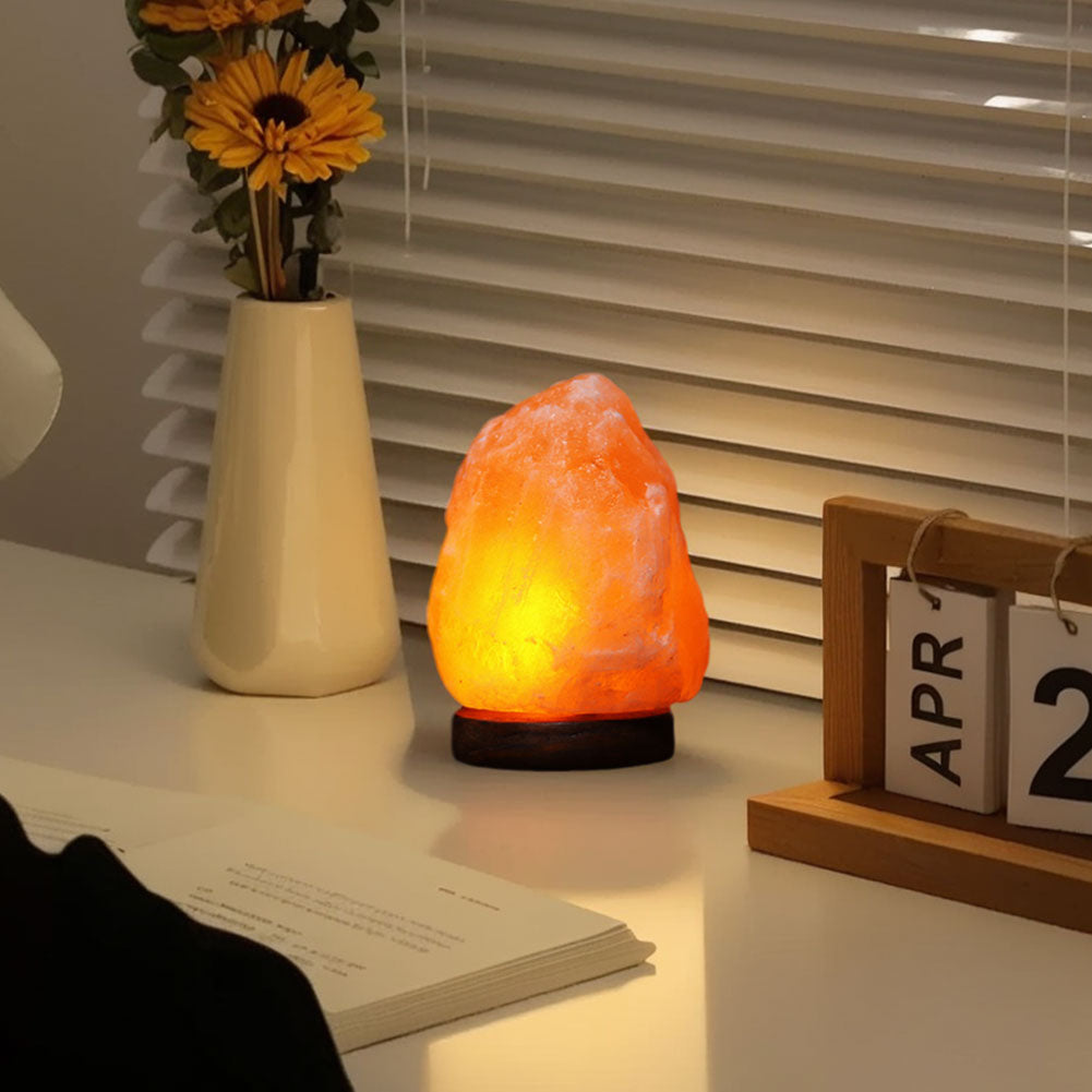 EMFURN Himalayan Salt Rock Lamp