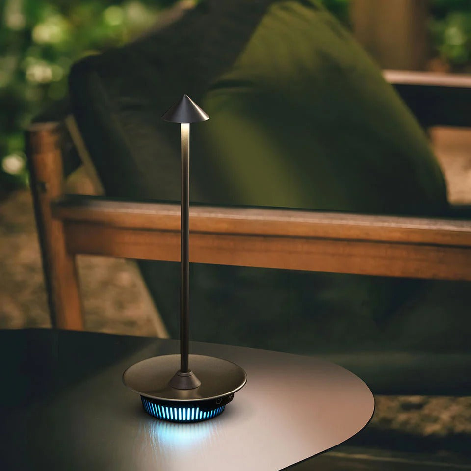 Cordless Mushroom Arrow Head Table Lamp