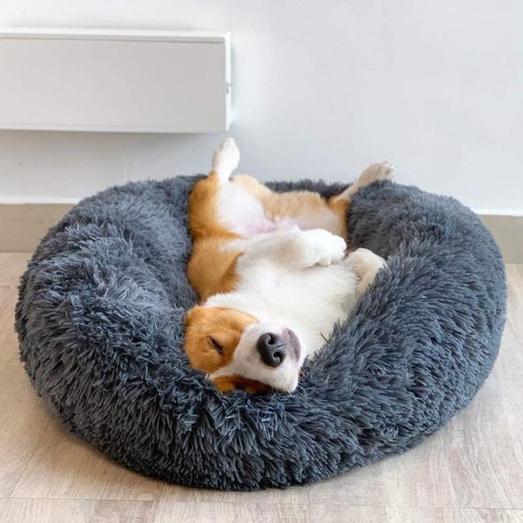 Cozy Calming Dog Bed