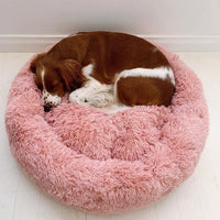 Cozy Calming Dog Bed