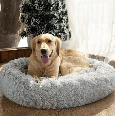 Cozy Calming Dog Bed