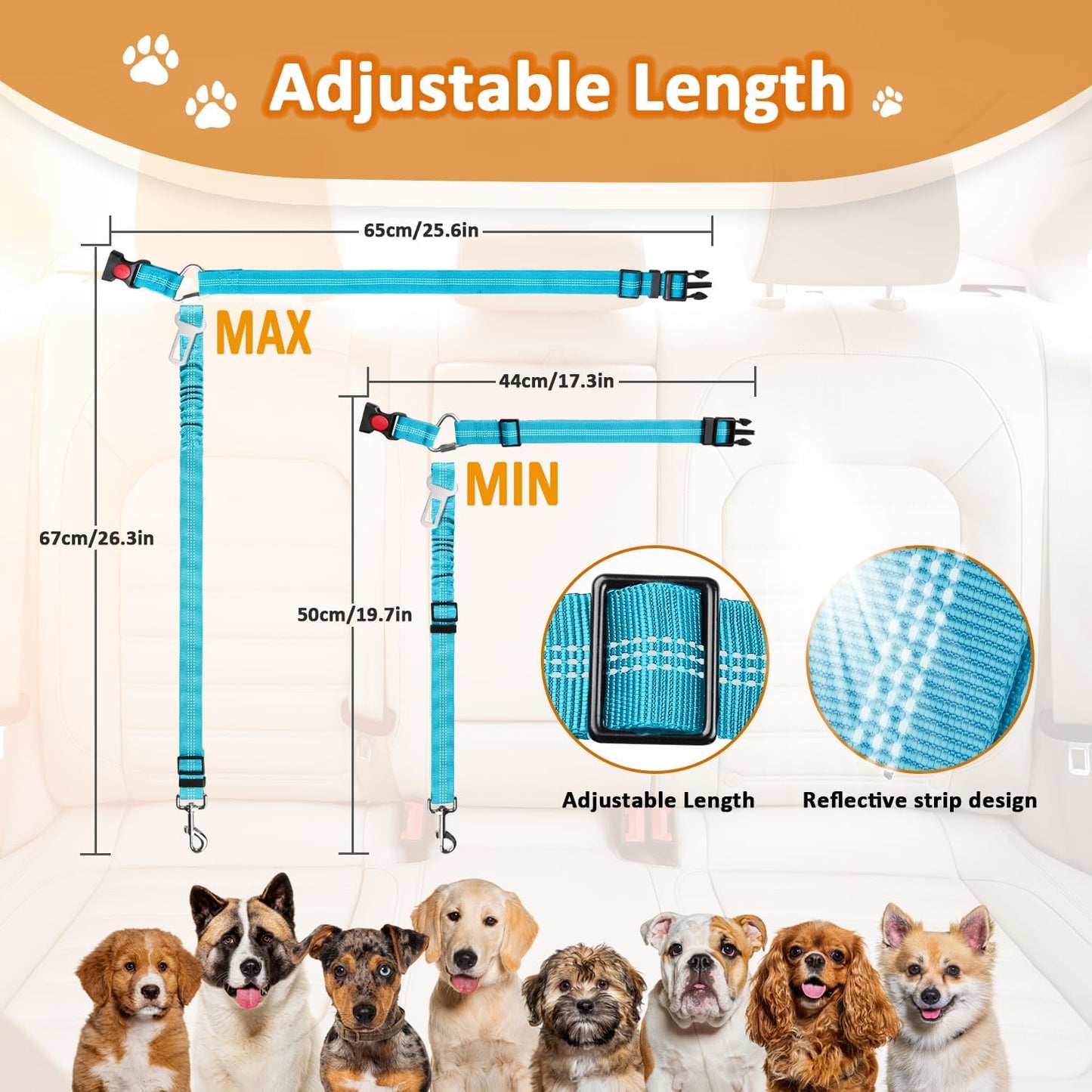 Removable Dog Seat Belt Harness Leash