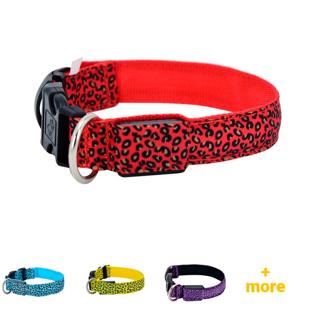 LED Safety Dog Nylon Collar