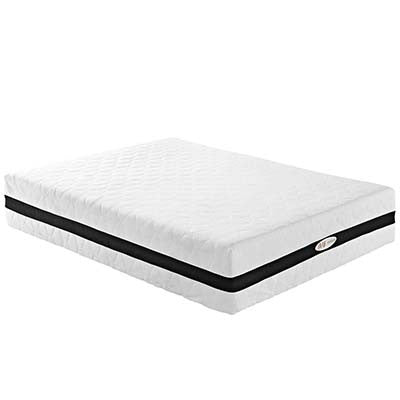 Excellectioned 14" Queen Memory Foam Mattress - living-essentials