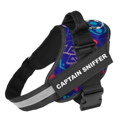 Personalized Dog Harness & Leash Bundle