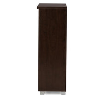 Aldwin 2-Door Dark Brown Wooden Entryway Shoes Storage Cabinet