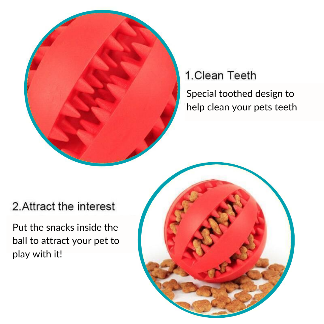 Dog Treat Chew Ball