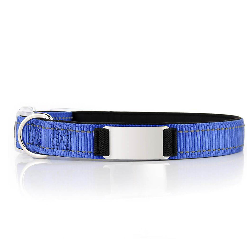 Personalized Dog Collar