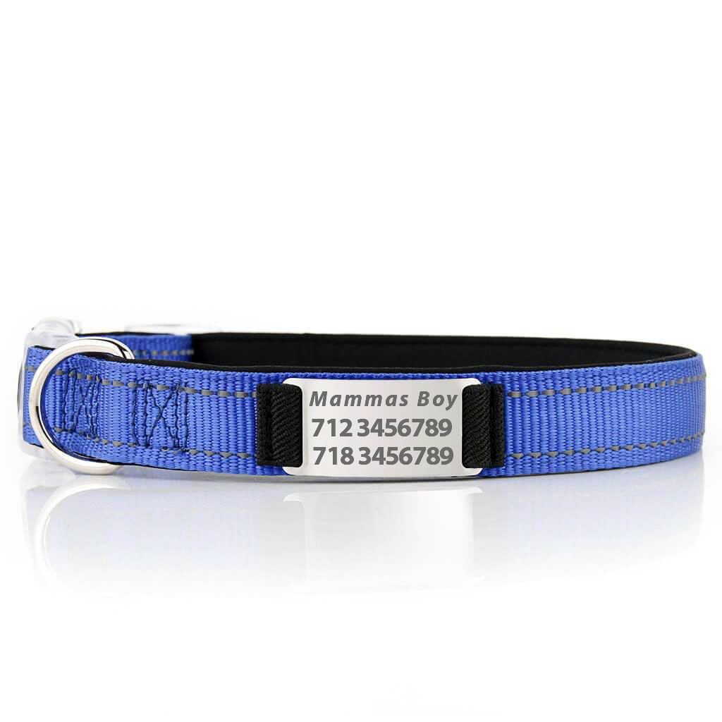 Personalized Dog Collar