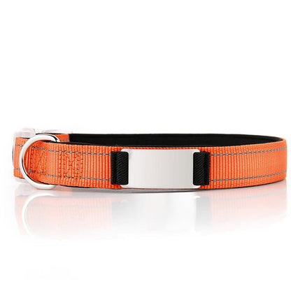 Personalized Dog Collar