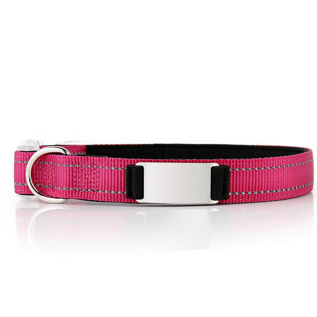 Personalized Dog Collar