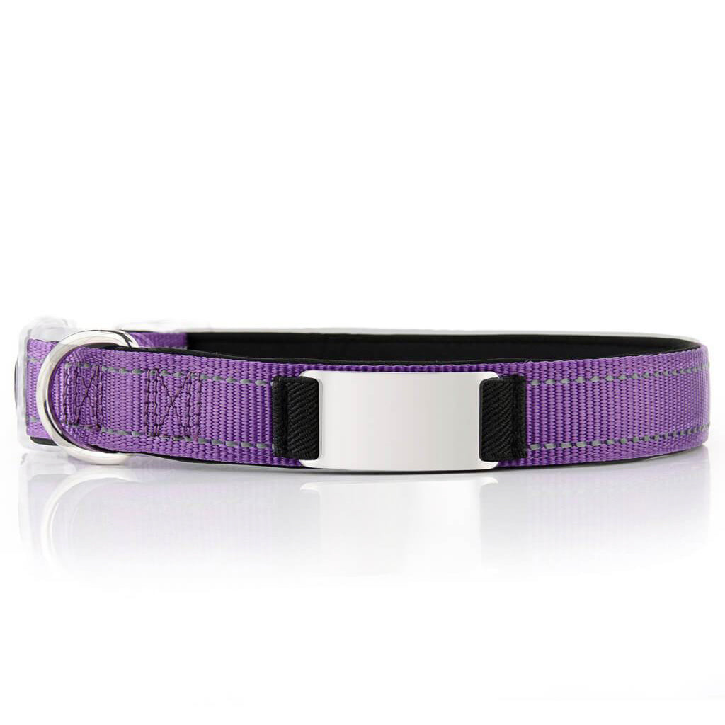 Personalized Dog Collar