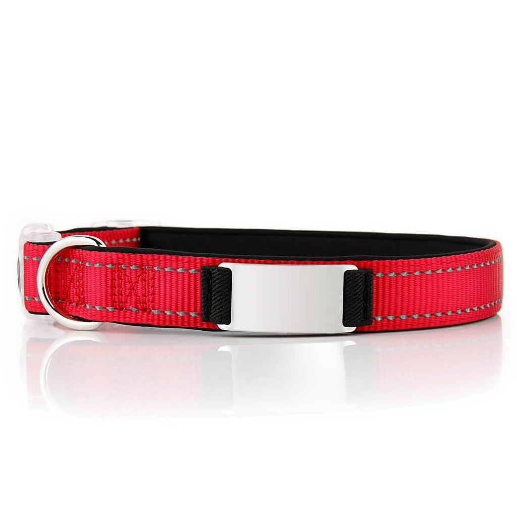 Personalized Dog Collar