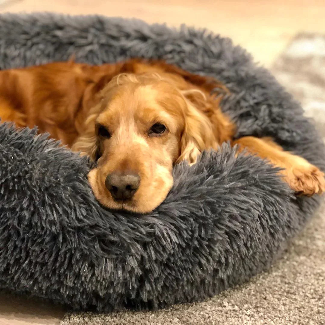 Cozy Calming Dog Bed