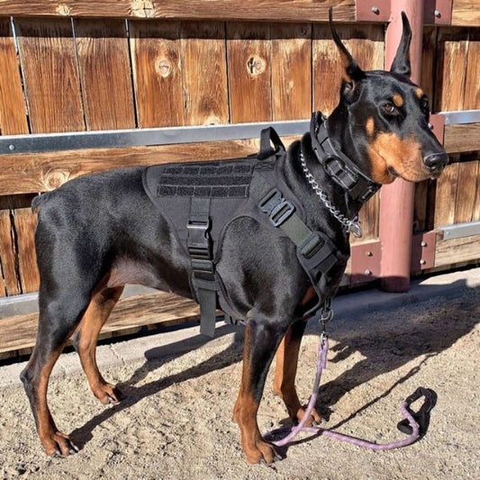 No Pull Tactical Dog Harness