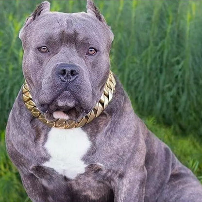 18k Gold 32mm Cuban Link Chain Dog Collar