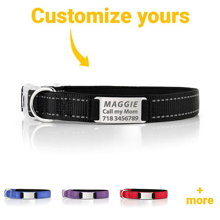 Personalized Dog Collar